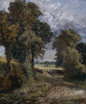 A Cornfield in the distance